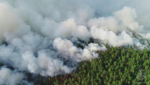 На юге Прикамья в мае могут вспыхнуть лесные пожары